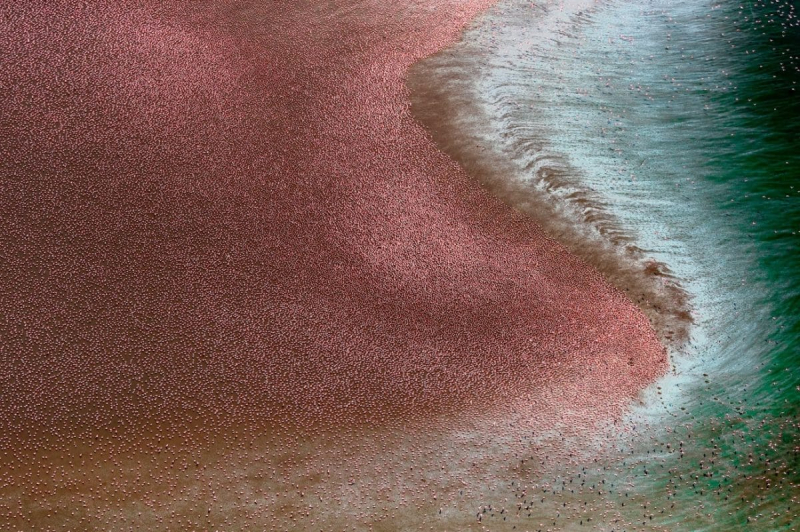 Опубликованы снимки победителей конкурса Drone Photo Awards 2024