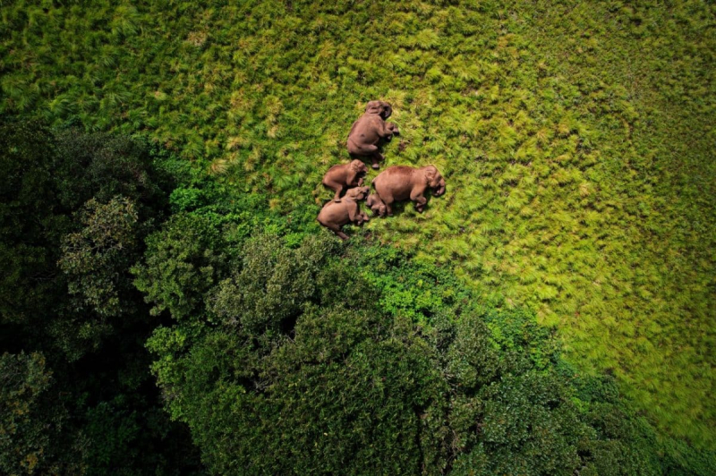Опубликованы снимки победителей конкурса Drone Photo Awards 2024