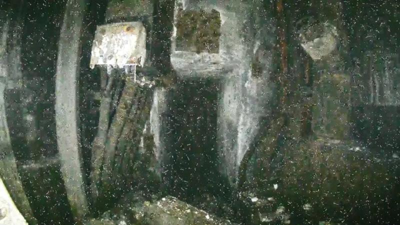 Первые изображения внутри ядерного реактора Фукусимы показывают странные структуры