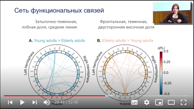 Вечно молодой: что происходит с мозгом со временем и как остановить его старение