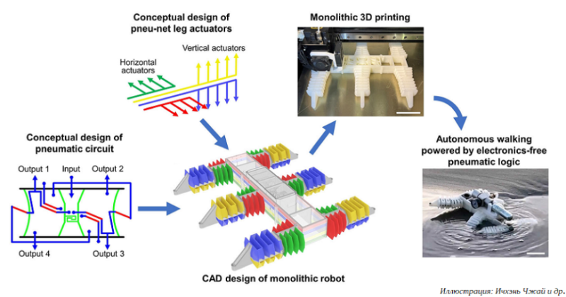 Американские ученые сконструировали 3D-печатного робота-шагохода с пневматическим приводом