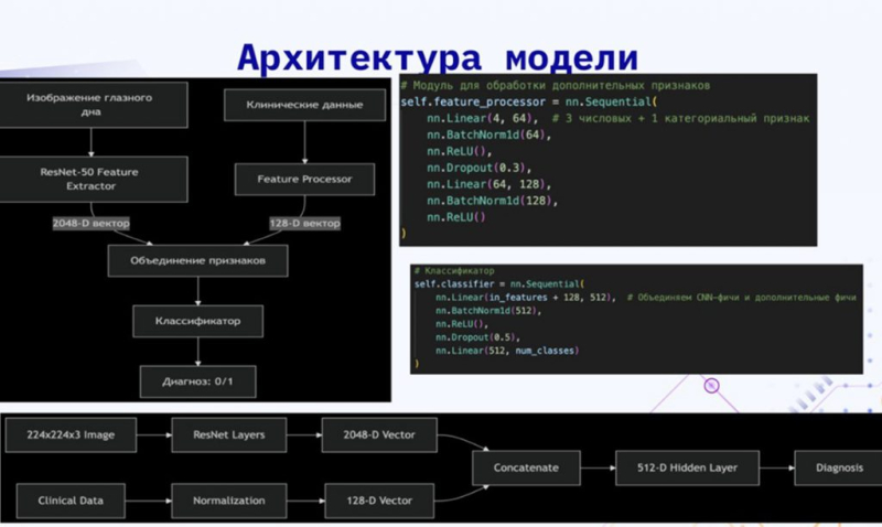 Новосибирский школьник обучил нейросеть находить поражения сетчатки у младенцев