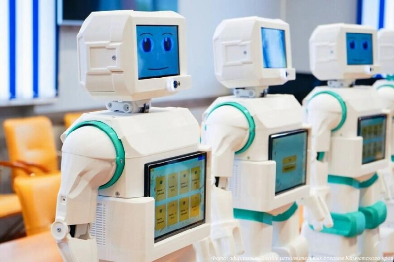 На Камчатке началась эксплуатация роботов для социализации детей с аутизмом